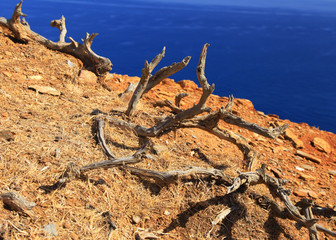 Desert at Crete