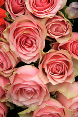 Bridal arrangement, pink flowers