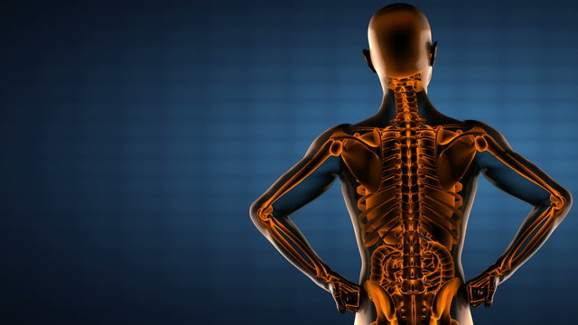 human entrails radiography scan