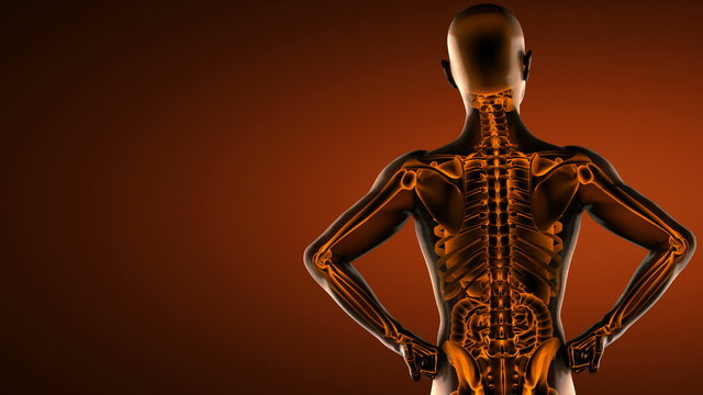 human entrails radiography scan