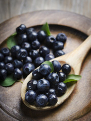Blueberry