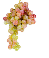Delicious bunch of fresh sweet grapes
