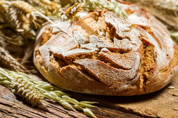 Closeup of freshly baked country bread