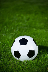 Fototapeta premium soccer ball on the grass