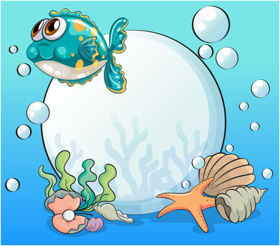 Sea creatures under the sea