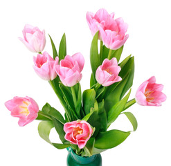 Bouquet of tulips isolated on white