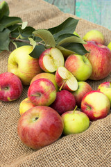 autumn harvest