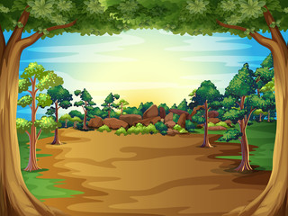 Fototapeta premium A sunrise at the forest with trees