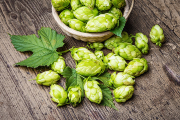 Obraz premium hop cones on a table