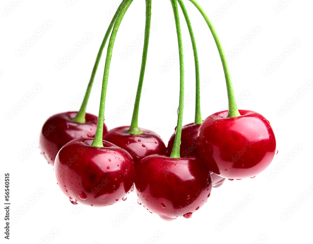 Poster Cherry with water drops.