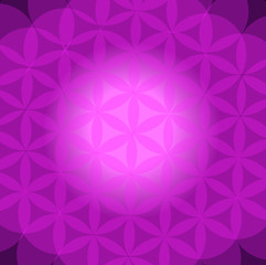 abstract vector mandala background