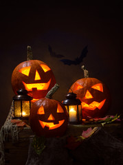 Halloween,  pumpkins and bats