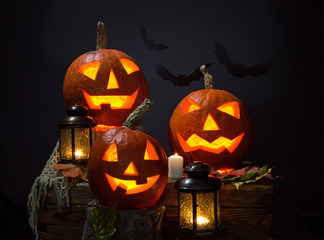 pumpkins and vampire - bat