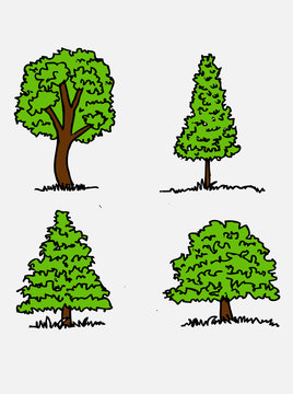 Hand drawn sketch trees with leaves illustration design