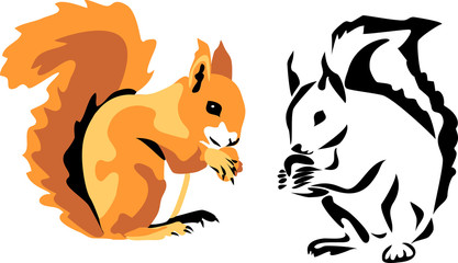 squirrel © bokononist