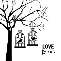 Peel and stick wall murals Birds in cages love