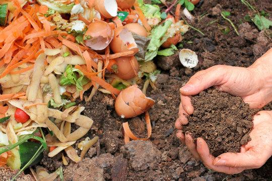 Kompostierte Erde, Komposthaufen, compost