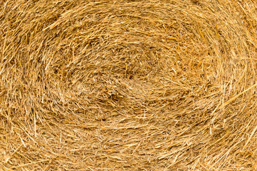 Rice straw background, in Thailand