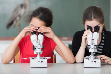 Mikroskopieren im Bio-Unterricht