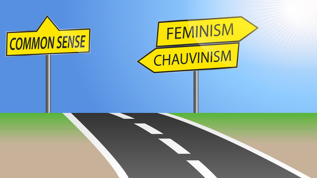Feminism and chauvinism direction