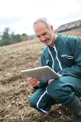 Naklejka na ściany i meble Farmer in field using digital tablet