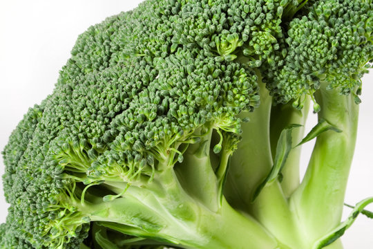 Nutritious broccoli sheaf isolated on white background