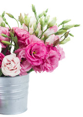 Pink eustoma flowers in metal pot close up