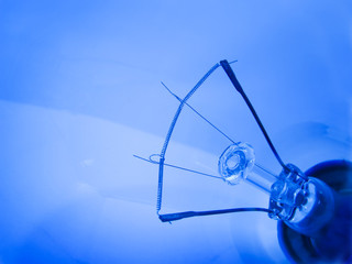 Close up of the filaments of daylight light bulb