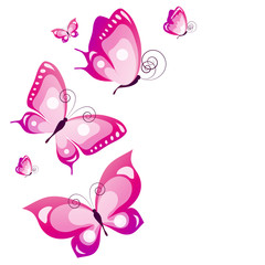 butterflies design
