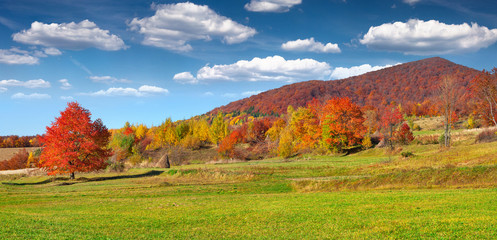 Colorful autumn landscape in the mountains