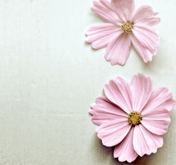 blüten vintage