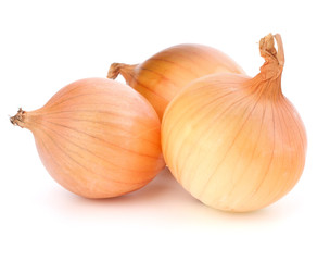 Fototapeta premium Onion