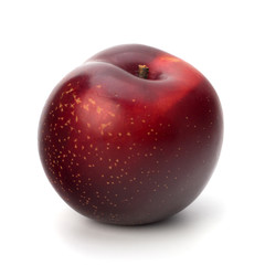 Red plum fruit
