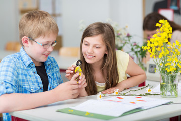 Schüler untersuchen Pflanze im Bio-Unterricht