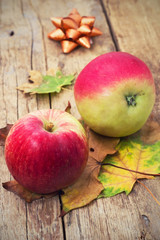 two mouth-watering apple harvest of late autumn