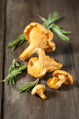 Сhanterelle mushrooms