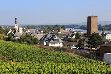 Fototapeta na wymiar Rüdesheim am Rhein (September 2013)