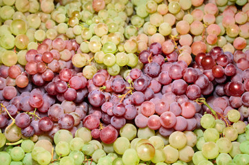 Wine grapes in market