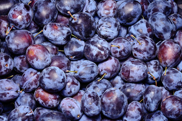Ripe plum in the market  after harvest