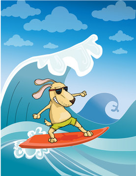 Surfing Dog, vector illustration