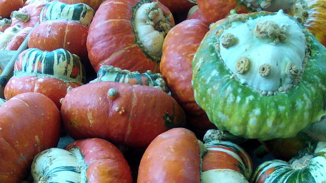 The decorative pumpkins.