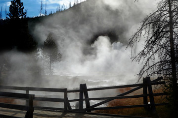 Late afternoon in Yellowstone National Park