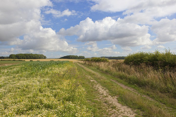 agricultural views