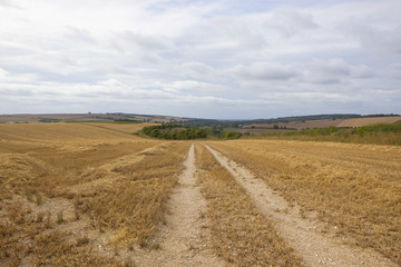 harvested fields