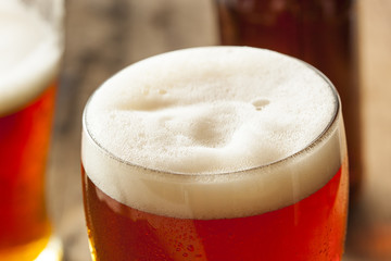 Cool Refreshing Dark Amber Beer