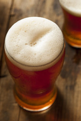 Cool Refreshing Dark Amber Beer