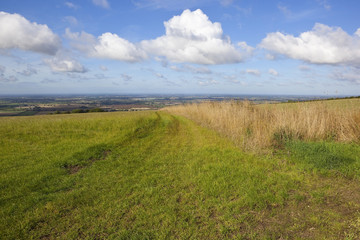 Fototapeta premium hillside pasture