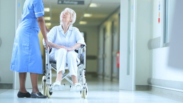 Nursing Staff Patient Wheelchair Modern Hospital 