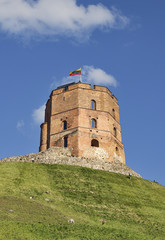 Fototapeta na wymiar Wieża Giedymina