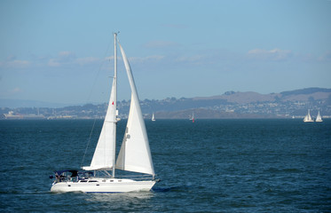 Fototapeta premium Sailing in the San Francisco Bay